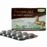 Maharishi Ayurveda Energol &ndash; MA eluj&otilde;uks ja noorendamiseks 20 tabletti