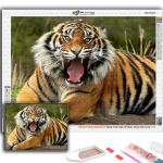 Populaarne 5D isetehtud ristpistes loomade tiigrimaaling t&auml;ispuur-ristpistes k&auml;sit&ouml;&ouml;komplekti seinakleebis Kodukaunistus Full Round 20X30CM