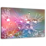 L&otilde;uenditr&uuml;kk Dandelion Plant Pink 60x40 lilla