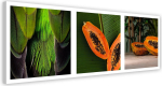 L&otilde;uenditr&uuml;kk Papaya Panorama 90x30 roheline