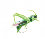 Putukate rohutirts must kala hobusesuu v&otilde;ltss&ouml;&ouml;t kiskja kalap&uuml;&uuml;gi vobler plastist kunstlik s&ouml;&ouml;t 3D silma Luya peibutis