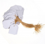 3,6x2,5 cm partii 100 tk Strip Line aiasildid Taime rippuvad sildid Mini seemnesildid kuumad sinine