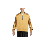 Nike Logo Tr&uuml;kitud Triibuline V&auml;rviplokk Korvpallijakk Meeste Jakid Beež DX0348-725 S
