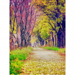 DIY 5D teemantmaaling S&uuml;gismetsa maastik T&auml;is&uuml;mmargune puur Rhinestones mosaiik maastik Ristpistes k&auml;sitsi valmistatud kingitus seinakunst 20X30CM punane