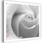 L&otilde;uendiprint White Rose Macro 30x30 valge/must