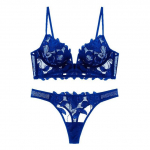 Seksikas prantsuse pitsist tikandiga rinnahoidja pesukomplekt naiste aluspesu komplekt Push Up &otilde;huke Bralette Deep V rinnahoidja ja alusp&uuml;kste komplekt M sinine