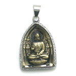 Unisex 316L roostevabast terasest Buddha kaitseripats
