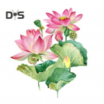Suve Lotus Flower WC kleebis Eemaldatav isekleepuv veekindel PVC elutuba Vannitoa seinakunst lilleline tualettruumi kaane kaunistuskleebis Little Flower