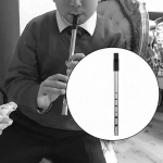 Whistle 6 Hole Easy to Clean Celtic Folk Music Portable Party Gift Instrument Flute Whistling D Key gold