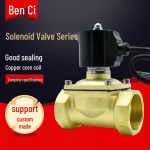 2-tolliline veekindel messingist veealune solenoidklapp 2W-160-15 1/2 inch DC 24V