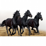 Dark Horse 5D teemant k&auml;sit&ouml;&ouml;maaling Teemanttikandid Teemantkomplektid Seinakunst 20X30CM