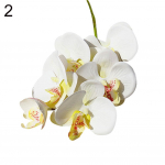 Daydreamer 1 tk kunstlillede liblikas orhidee painutatav aed isetegemise peo pulmade kodukaunistus One Size valge