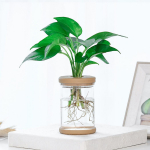 2 TK Creative Clear Hydroponic lillepoti istutusmasin v&auml;ikeste potitaimede kasvatamiseks