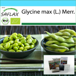 SAFLAX - Kinkekomplekt - Orgaaniline - Edamame - 8 seemet - Koos kinkekarbi, kaardi, etiketi ja potisubstraadiga - Gl&uuml;tsiin