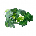 Kasulik simulatsioon Roheline taim ei vaja kastmist Lihtne hooldada Dekoratiivne roheline