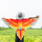 Laste lindude kost&uuml;&uuml;mide komplekt Papagoi tiibadega kuub peapaelaga lastele Halloween peoks punane