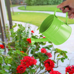 Kastekann Aiat&ouml;&ouml;riist Tarvikud Vintage Disain Taimede Kastmine Pihusti V&auml;litingimustesse punane