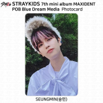 Stray Kidsi 7. minialbum Maxident POB Photocard Aladin JYP Soundwave MK ifive Seungmin - BDM