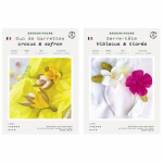 Coffret DIY papier - 2 Barrettes Florales + 1 Serre-T&ecirc;te Floral