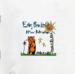 CD EDIE BRICKELL & NEW BOHEMIANS - Shooting Rubberbands At The Stars 9241922 Geffen Records US Rock Kasutatud