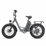 URLIFE E20 Pro 20-tolline rasvarehvidega elektriline jalgratas t&auml;iskasvanutele 48V15,6Ah aku 750W mootor maastikuv&auml;lijalgratta sinine