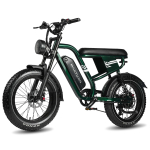 MAXTURN MX10 on 20-tollise rattaraamiga linnas&otilde;iduks m&otilde;eldud elektriratas, mis on varustatud 500W mootoriga ja mille maksimaalne s&otilde;iduulatus on kuni 70 kilomeetrit. roheline