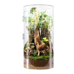 Akr&uuml;&uuml;l-roomajate puur Veekindel L&auml;bipaistev Eesmine Avamine Terrarium H&uuml;ppava &Auml;mbliku Puur beige