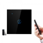 Wi-Fi Smart Boiler puutel&uuml;litiga h&auml;&auml;ljuhtimine &uuml;hildub Alexa Google'iga EU Standard must