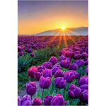 Teemanttikandid Lavendel 5D DIY Teemantmaal Teemantmosaiikpildid Kodukaunistus 20X30CM