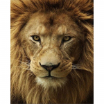 5D DIY Teemantmaaling Loom Aafrika L&otilde;vi Teemanttikandid Ristpistes Kodukaunistus 20X30CM