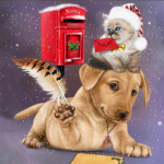 5D DIY teemantmaal Yorkshire'i terjer t&auml;isring puur Pilt rhinestones teemanttikandist 30x30CM