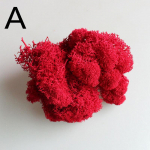 1 kott p&otilde;hjap&otilde;dra mikrok&auml;sit&ouml;&ouml; lill, sammal taim maastik Kunsthaldja sisekujundus murupulm punane