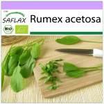 SAFLAX &ndash; Mahe &ndash; Prantsuse hapuoblikas &ndash; 400 seemet &ndash; Rumex acetosa
