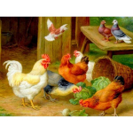 5D DIY Teemantmaali Loomad Kana ristpistes Kits T&auml;ispuurimine Ruuttikandid Mosaiik Kunst Pilt kividest Kingitus Full Round 20x25CM