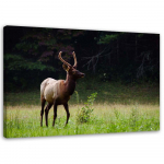 L&otilde;uendiprint Deer Animals Forest Meadow 60x40 pruun