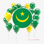 Kuveidi lipp Araabia &Uuml;hendemiraatide lipp Triikida soojus&uuml;lekandega tr&uuml;kkimisel Vin&uuml;&uuml;lplaastrid Riiete kleebis DIY aplikatsioonid pestavad plaastrid