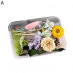 1 Box Art Flower Ilmastikukindel dekoratiivne, p&auml;ris peene tekstuuriga DIY kuivatatud lill A
