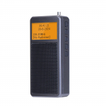 HanRongDa HRD-205 kaasaskantav FM-raadio multifunktsionaalne raadio, teisendage signaal BT-k&otilde;rvaklappideks automaatseks skannimiseks hall