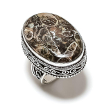 Natural Turtilla Fossil Gemstone Handmade 925 Sterling Silver Gift Ring S.7 v6l59