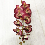 5 tk Lateks liblikas orhidee lilled 9 pead Real Touch kunstlik Phalaenopsis orhidee kodu lilledega kaunistamiseks