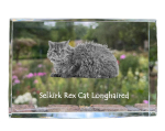Selkirk Rex Longhaired - crystal with a picture of a cat, photo in glass, modern exhibition of Art-Dog brand photo puhas