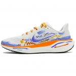 Nike Pegasus 41 Libisemisvastased, Kulumiskindlad, Kerged Madalad Vabaaja Treening Jooksukingad Meeste Valge HF0013-900 (Team919-) 39