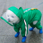Naljakas multifilmikoera vihmamantel veekindel kapuutsiga vihmajakk lemmikloomadele v&auml;ikestele koertele riided teddy kuldne retriiver shiba inu vihmamantel (as the picture,XS（old）)
