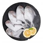 K&uuml;lmutatud Zhoushani valge pomfret