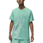 Jordan T-s&auml;rk Meeste Rising Emerald Green FN6026-349 XL blue