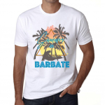 Meeste vintage tees&auml;rk Graafiline T-s&auml;rk Summer Triangle Barbate White XS valge