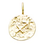 Les Tr&eacute;sors De Lily [Q7584] - antiikkuldne  Astrology  kullatud ripats (Ambur) - 12 mm kuld