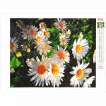 Huacani teemantmaaling Lillede maastik Rhinestones pildid Teemantmosaiik t&auml;isekraan Kodukaunistus Teemanttikandite m&uuml;&uuml;k Full Round 15*20 cm