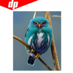 Loomalindude teemanttikandid 5D DIY teemantmaaling ristpistes pildikomplektid T&auml;is&uuml;mmargune teemant 20X30