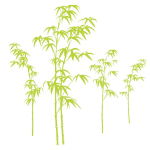 Les Tr&eacute;sors De Lily [Q8272] &ndash; bambusest &bdquo;Bamboo&rdquo; kleebiseleht &ndash; 50x70 cm roheline